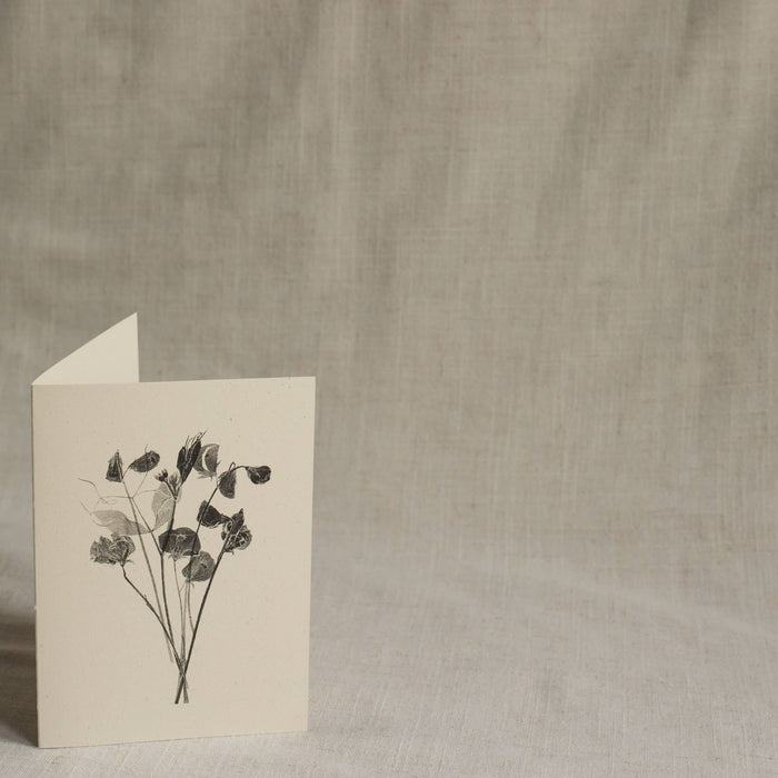 Sweet Peas Flower Card