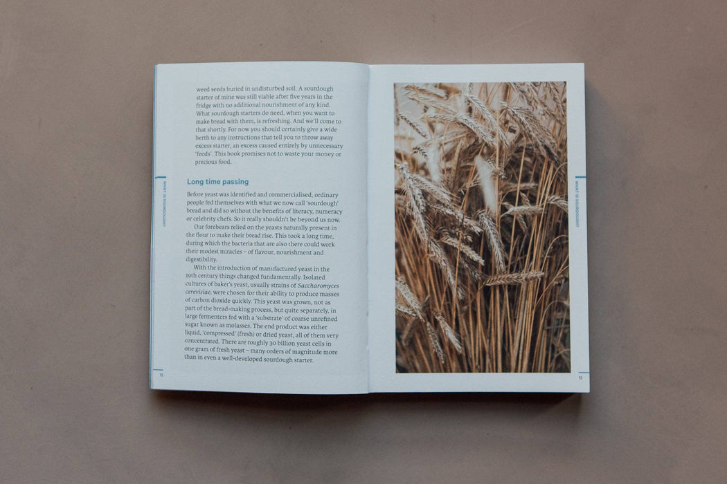 Do Sourdough - Slow bread for busy lives.: Paperback