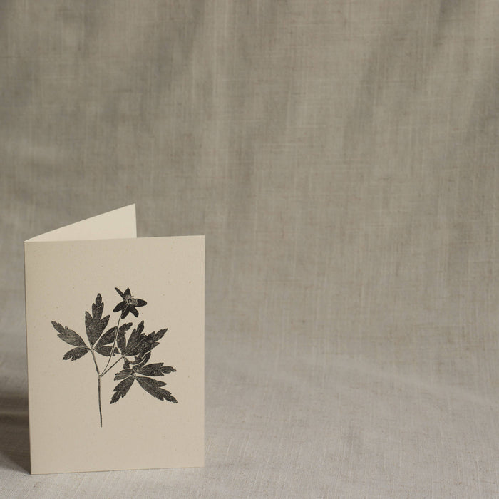 Wood Anemone Flower Greeting Card A6 Recycled Card