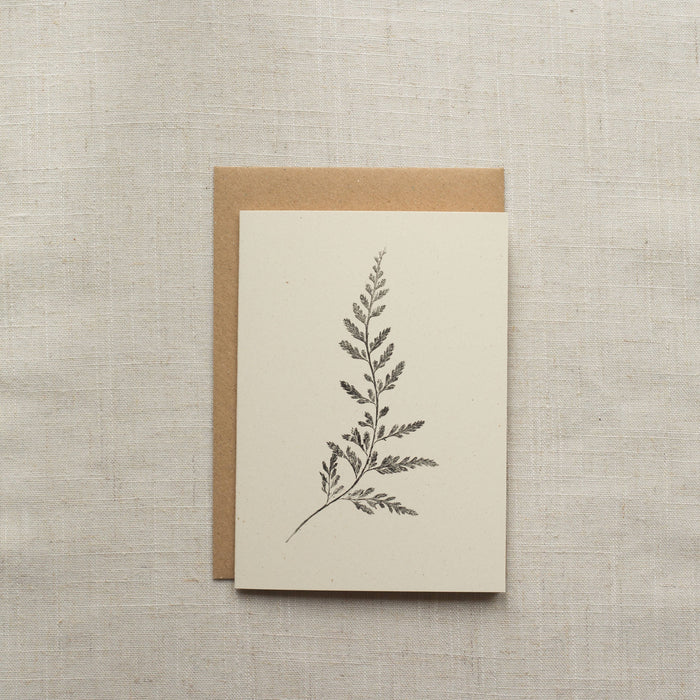 Fern Greeting Card A6 Recycled Card