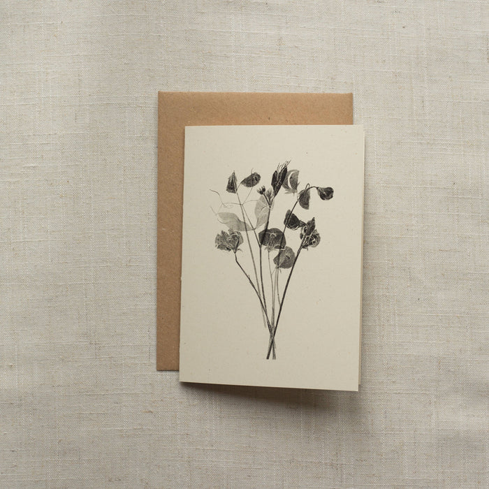 Sweet Peas Flower Card