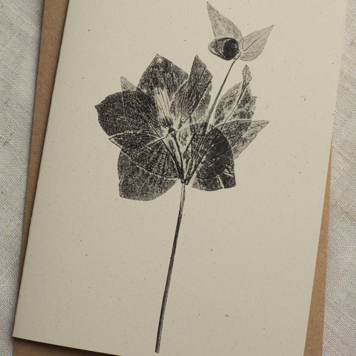 Hellebore Flower Greeting Card A6 Recycled Card