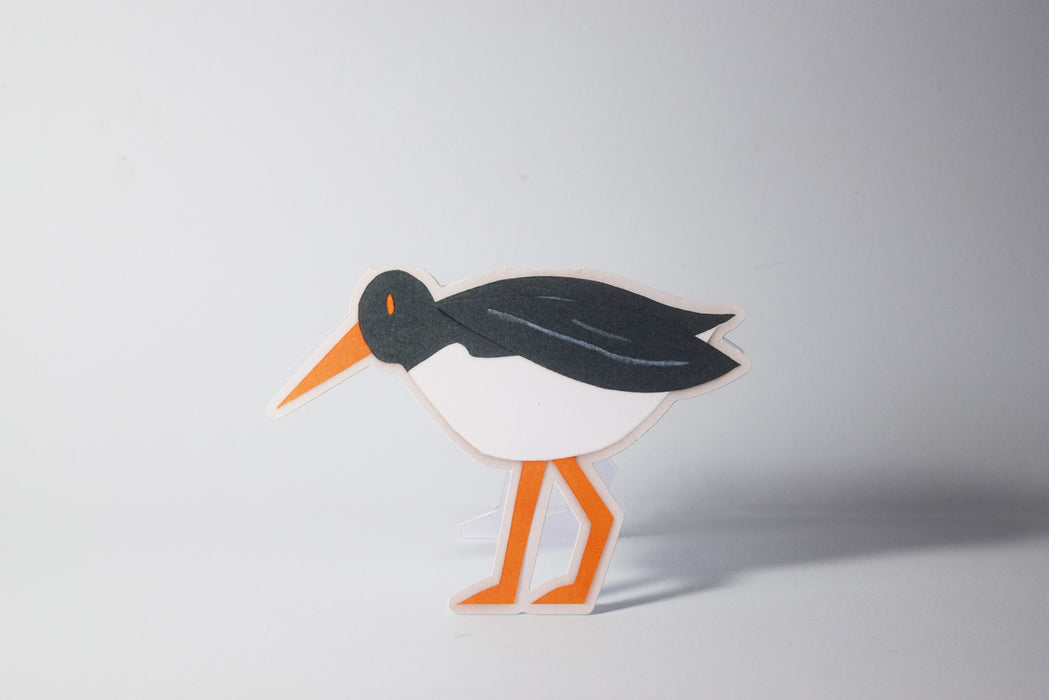 Oystercatcher  Cut Out Card