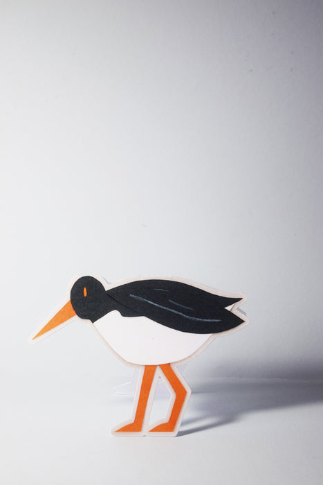 Oystercatcher  Cut Out Card