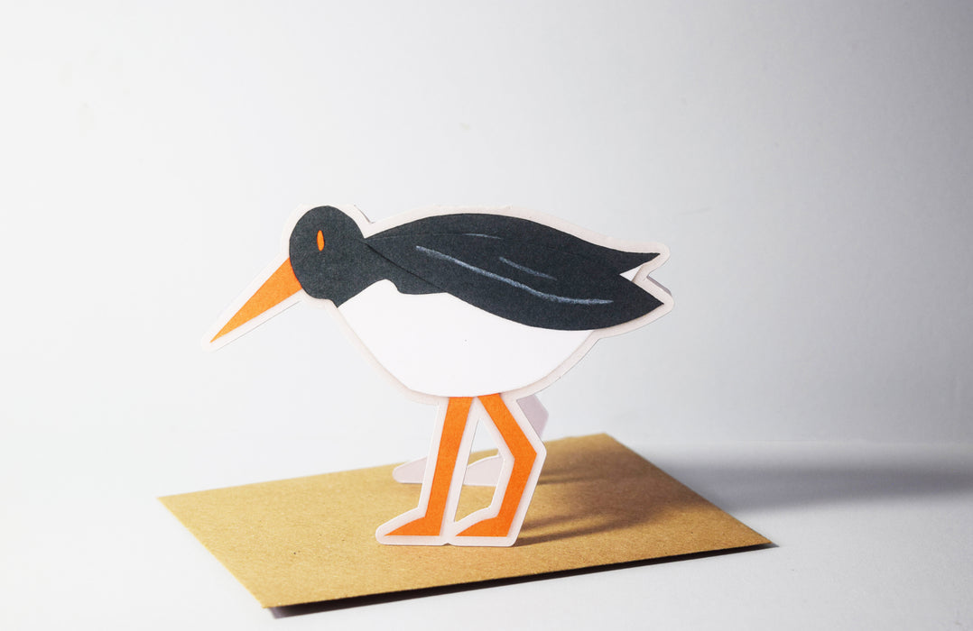 Oystercatcher  Cut Out Card