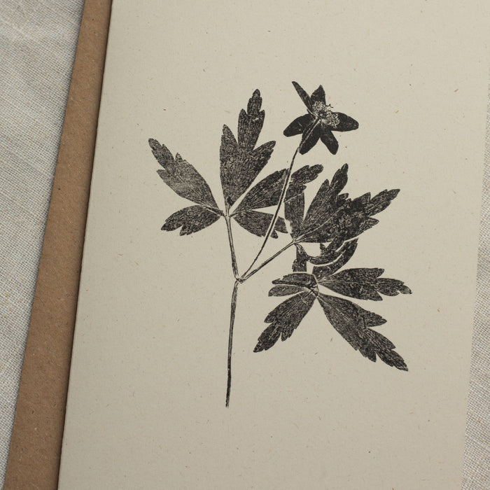 Wood Anemone Flower Greeting Card A6 Recycled Card