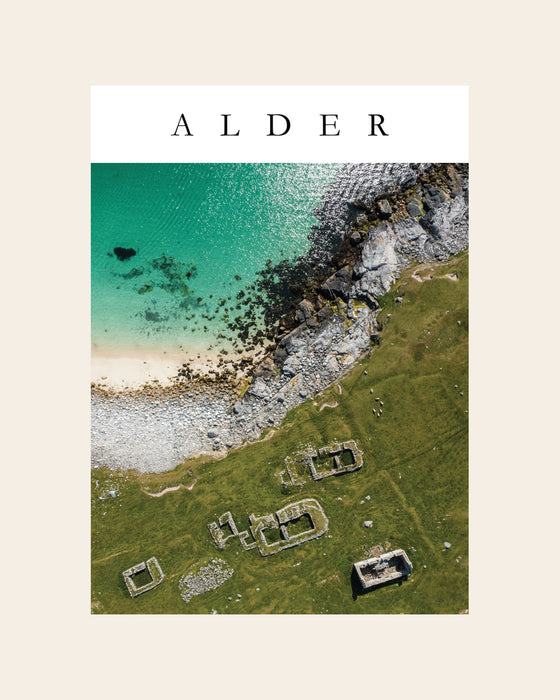 Alder 03