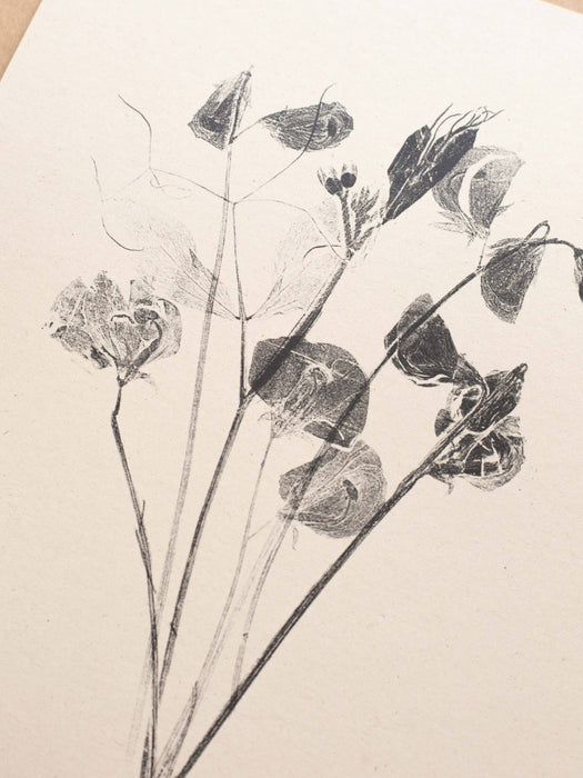 Botanical Art Print  A4 Sweet Peas