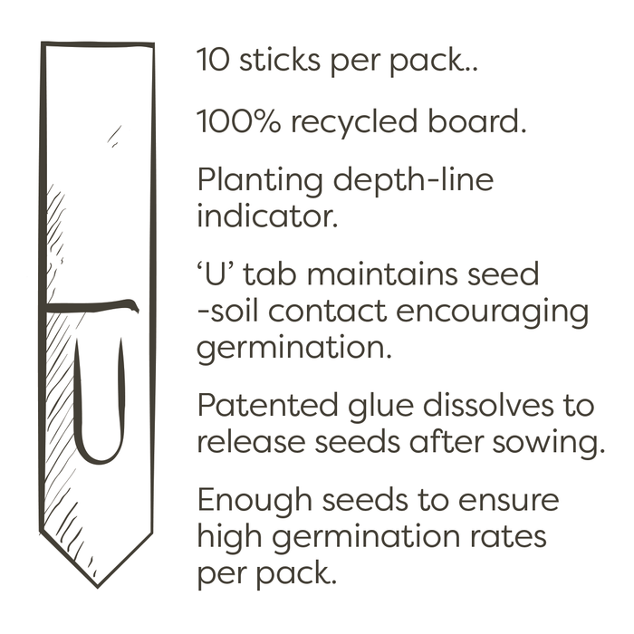 Cocktail Bar - Gift Pack