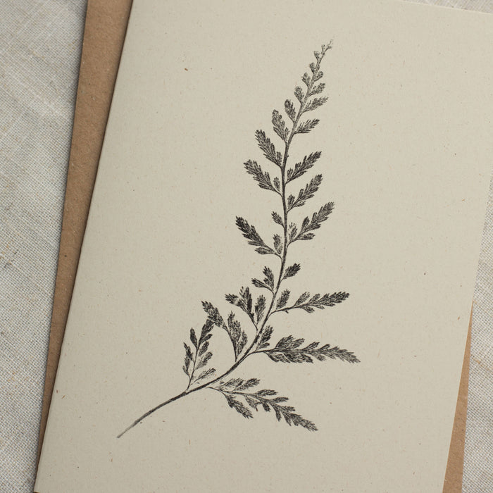 Fern Greeting Card A6 Recycled Card