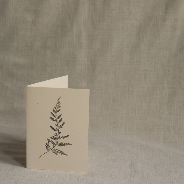 Fern Greeting Card A6 Recycled Card