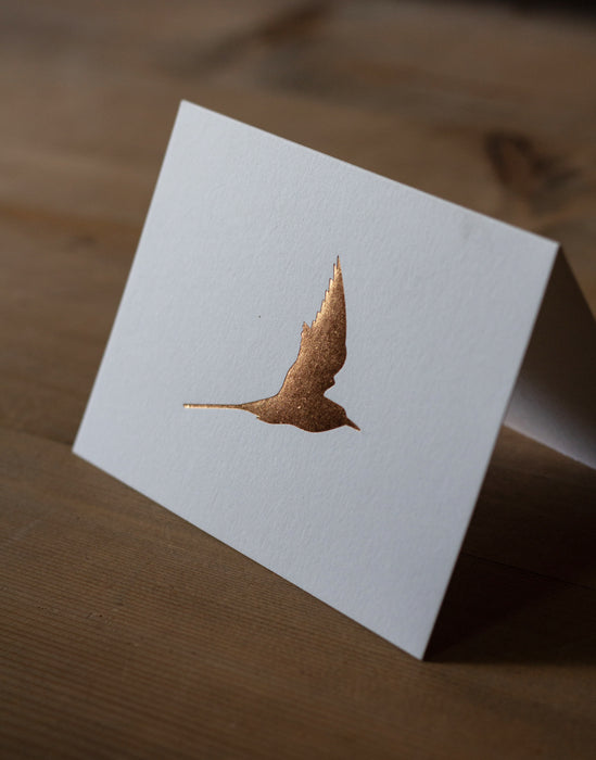 Single Copper Arctic Tern White
