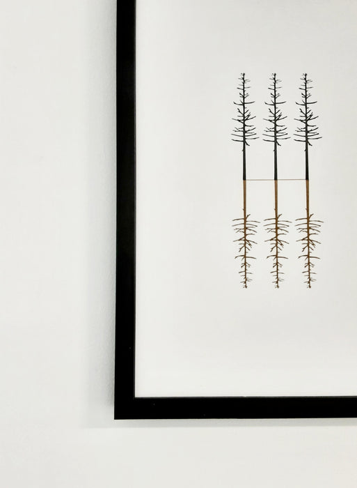 Trees Reflected - Letterpress Print