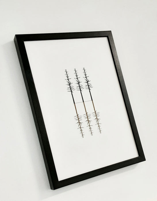Trees Reflected - Letterpress Print