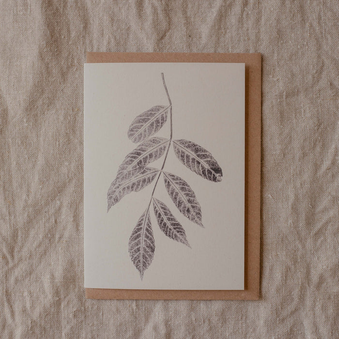 Ash Leaf Botanical Print Greeting Card A6 Recycled