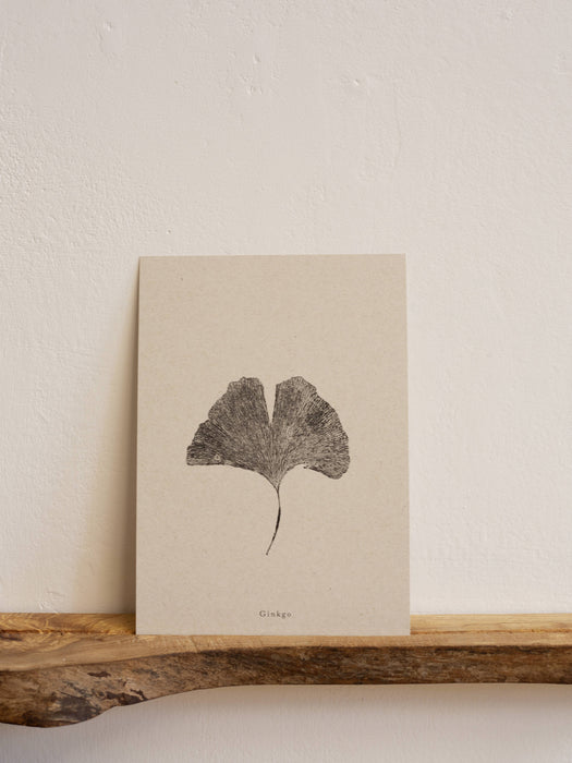 Botanical Art Print A5  -  Ginkgo Leaf