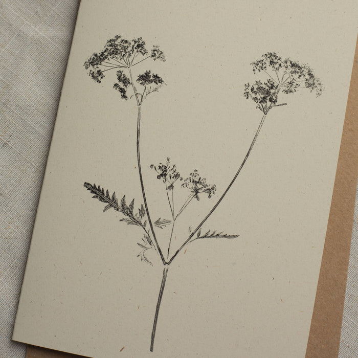 Cow Parsley Card