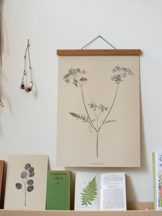 Cow Parsley A5 Print