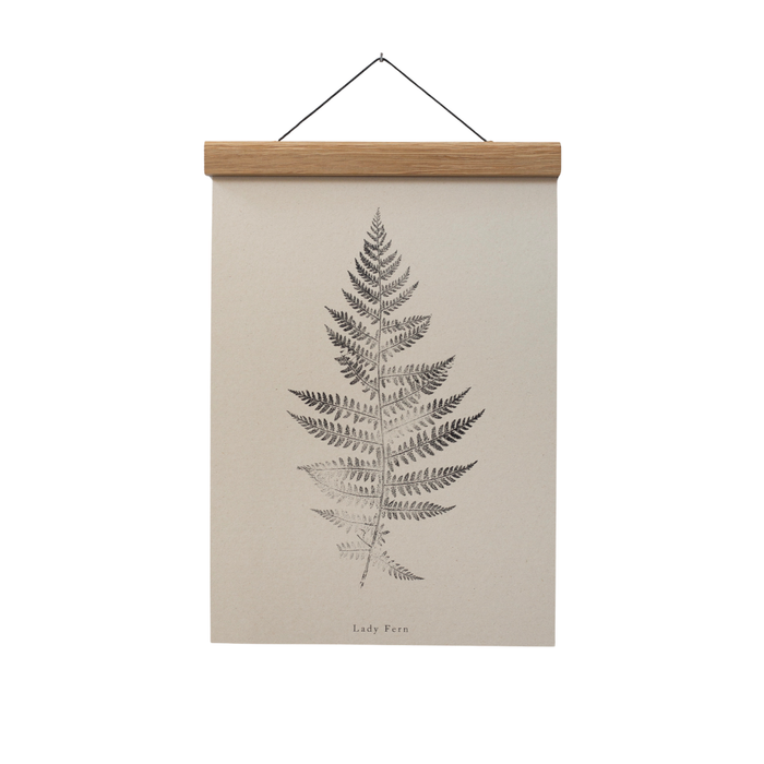 Fern Print - Botanical Art Print A4