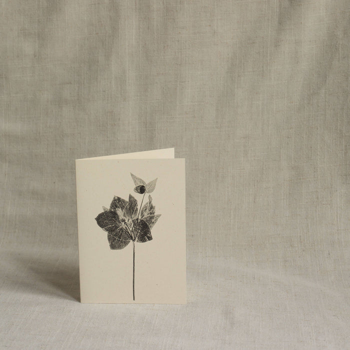 Hellebore Flower Greeting Card A6 Recycled Card 