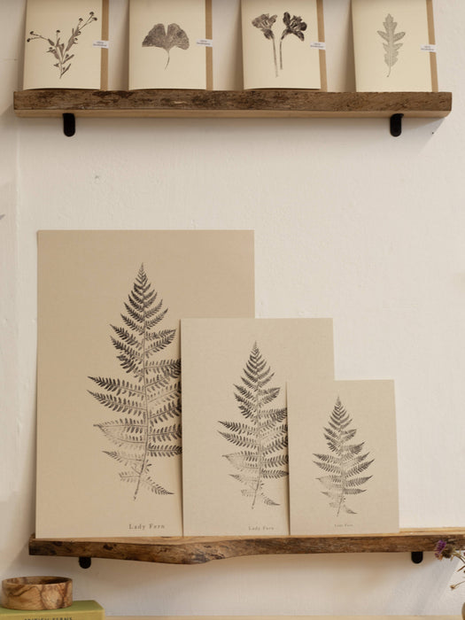 Fern Print - A5 Print