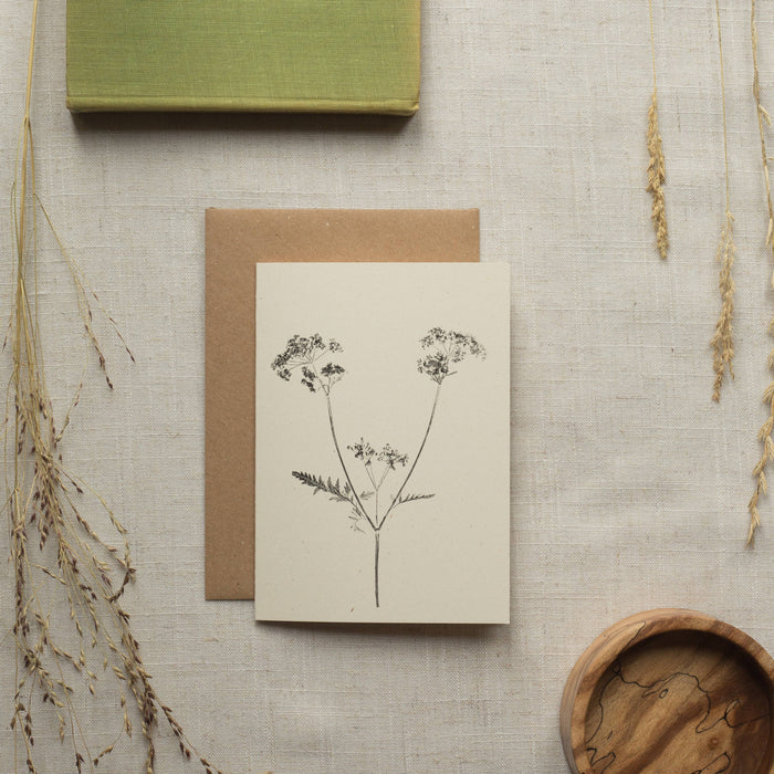 Cow Parsley Card
