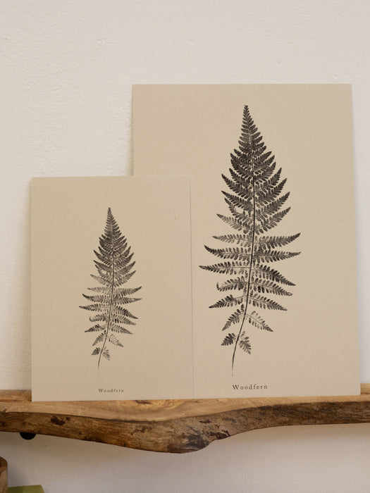 Woodfern: A5 Print