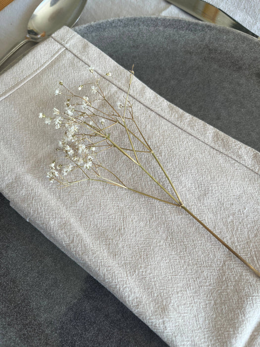 Washed Cotton Napkins in Chalk White