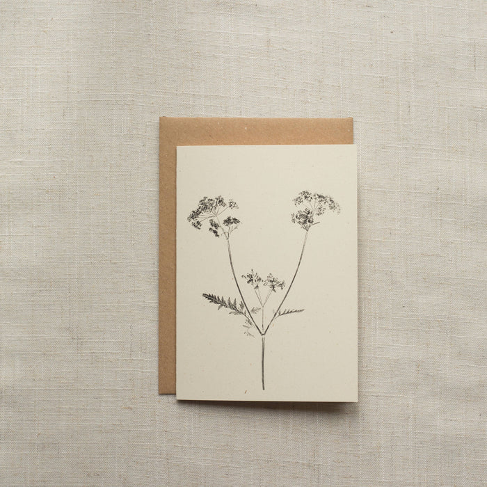 Cow Parsley Card