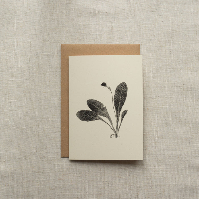 Primrose Flower Greeting Card A6 Recycled Card 
