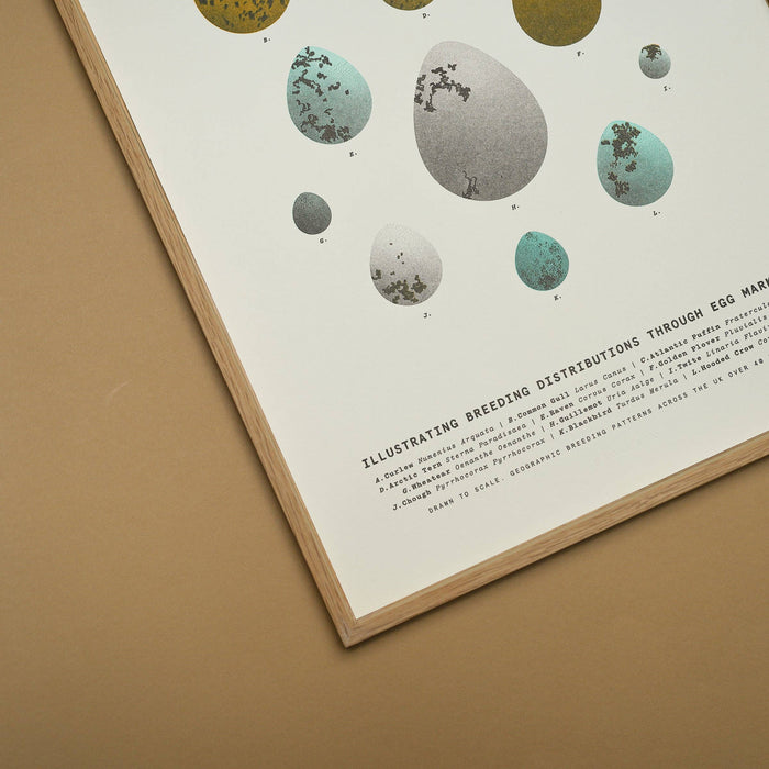 A3 Limited Edition Bird Egg Risograph Print