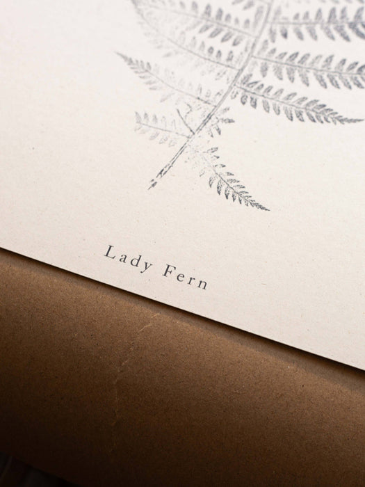 Fern Print - Botanical Art Print A4