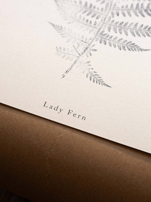 Fern Print - A5 Print