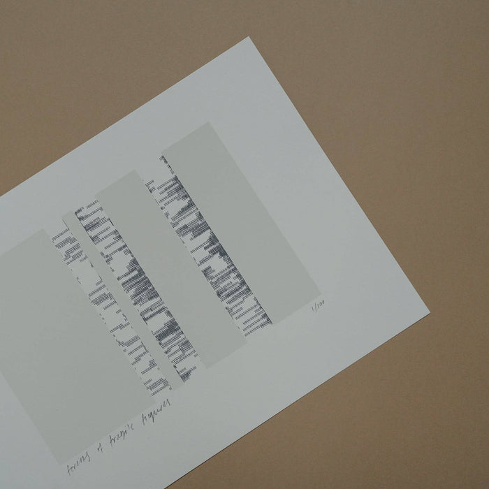 A4 Limited Edition Forests Screenprint