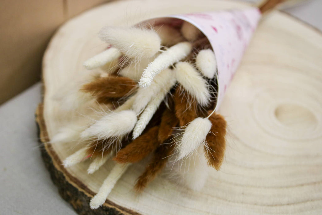 White & Chocolate Brown Bunny Tail Mix | Dried Floral Boho