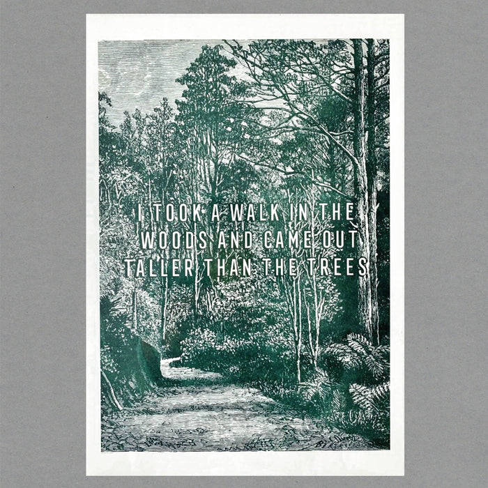 Walk in the Wood Risograph Print. A3