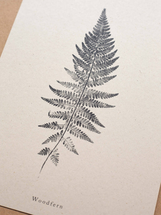 Woodfern: A5 Print