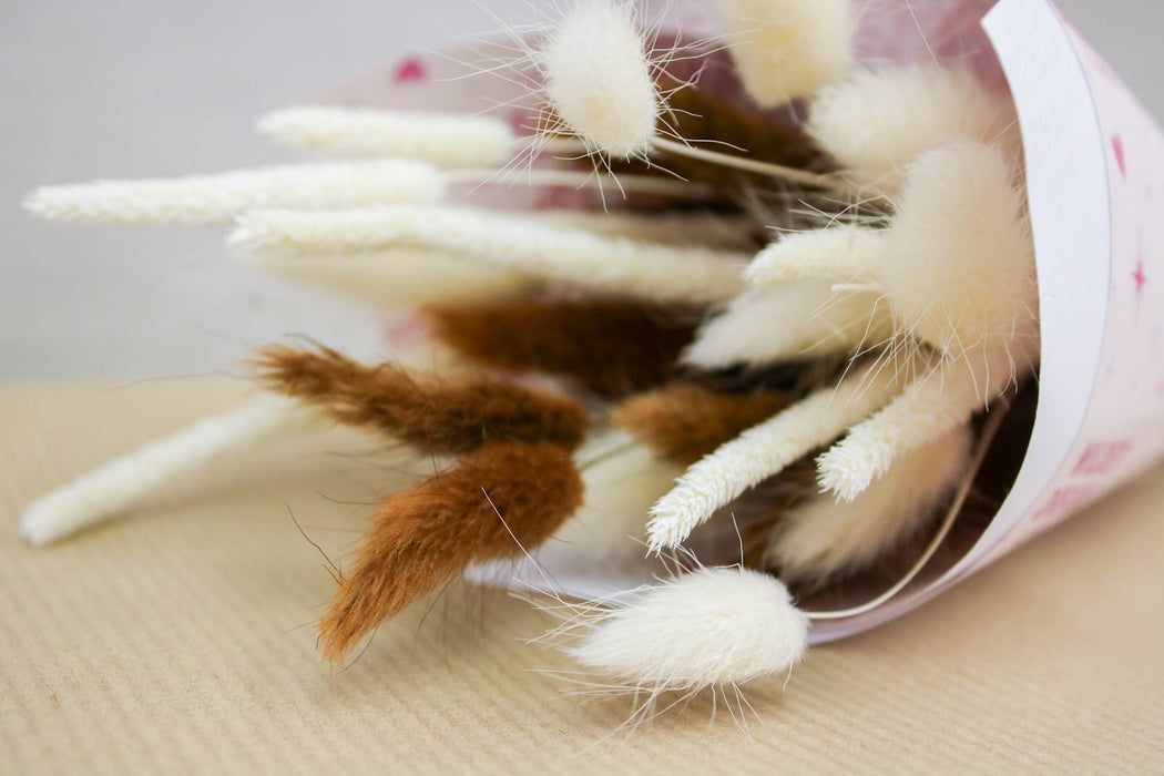 White & Chocolate Brown Bunny Tail Mix | Dried Floral Boho