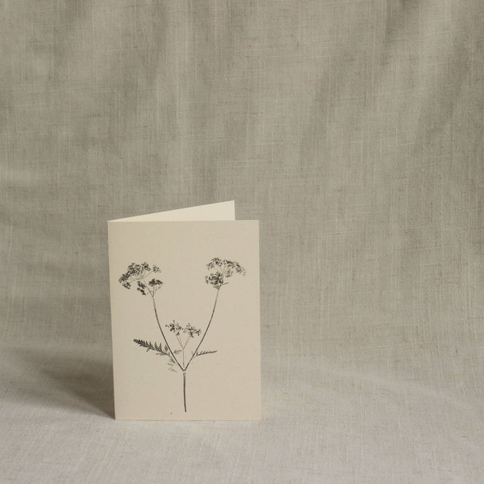 Cow Parsley Card
