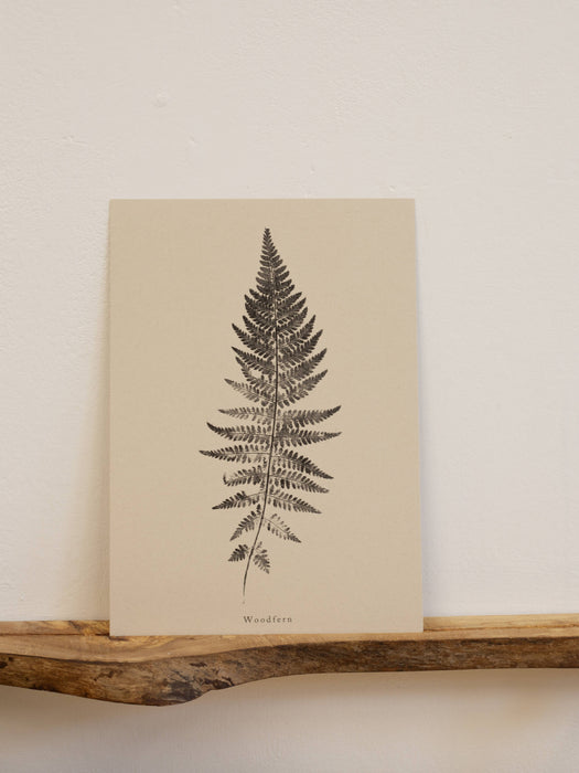 Woodfern: A5 Print
