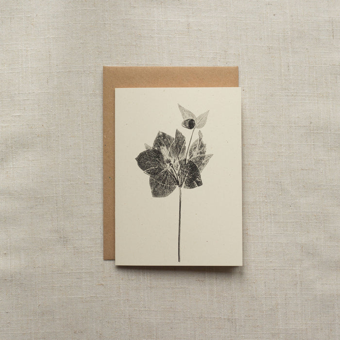 Hellebore Flower Greeting Card A6 Recycled Card 