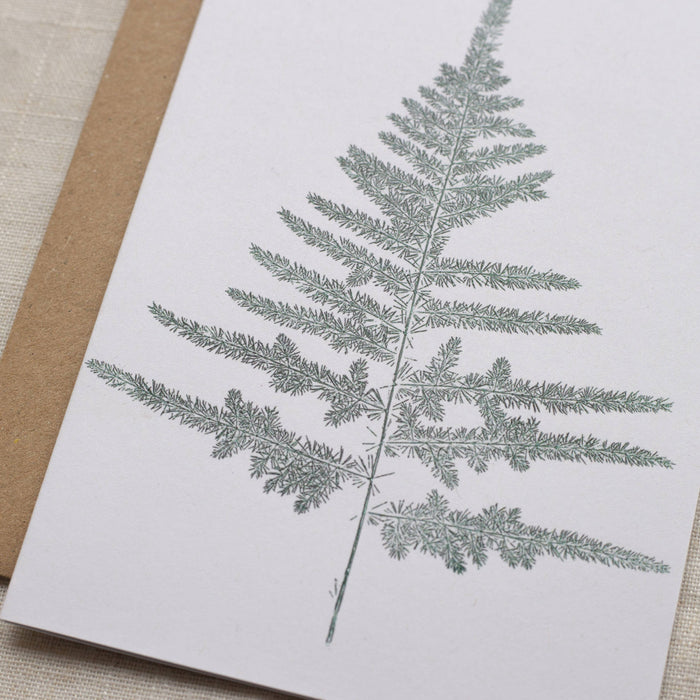 Botanical Fern - Recycled Card 