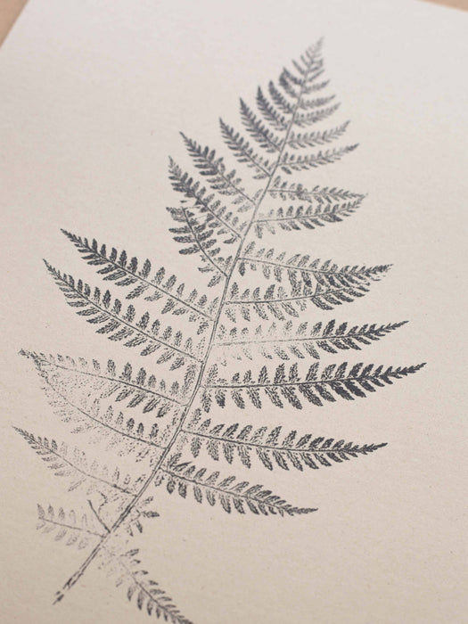 Fern Print - Botanical Art Print A4
