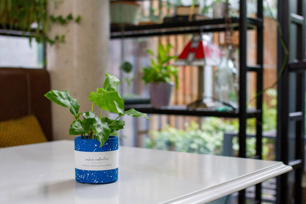 Small Planter - Cobalt Terrazzo
