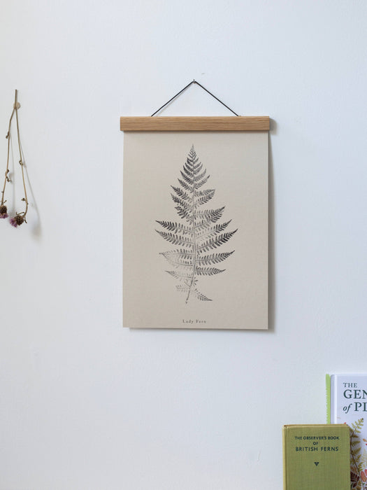 Fern Print - Botanical Art Print A4