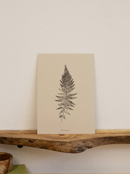 Woodfern: A5 Print