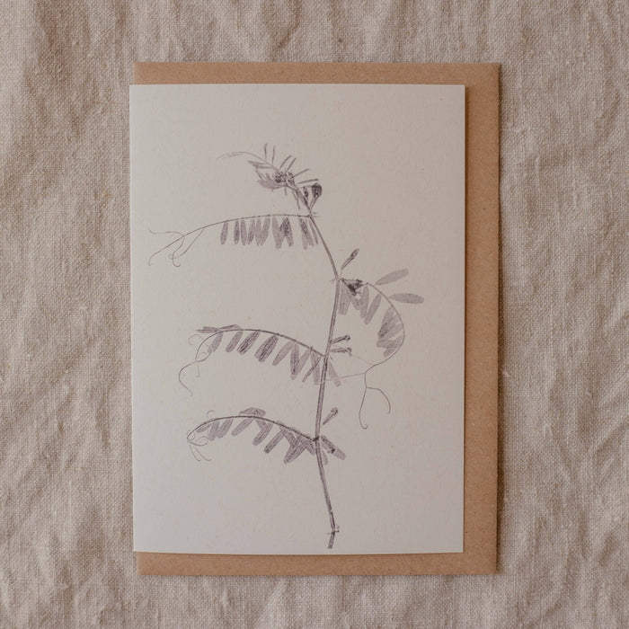 Vetch Botanical Card A6 Recycled 