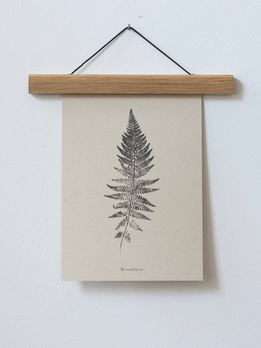 Woodfern: A5 Print