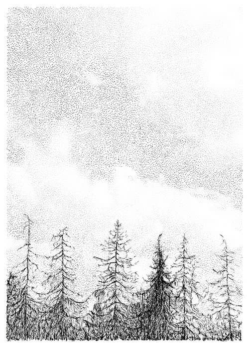 Pine Tree Forest Print A3