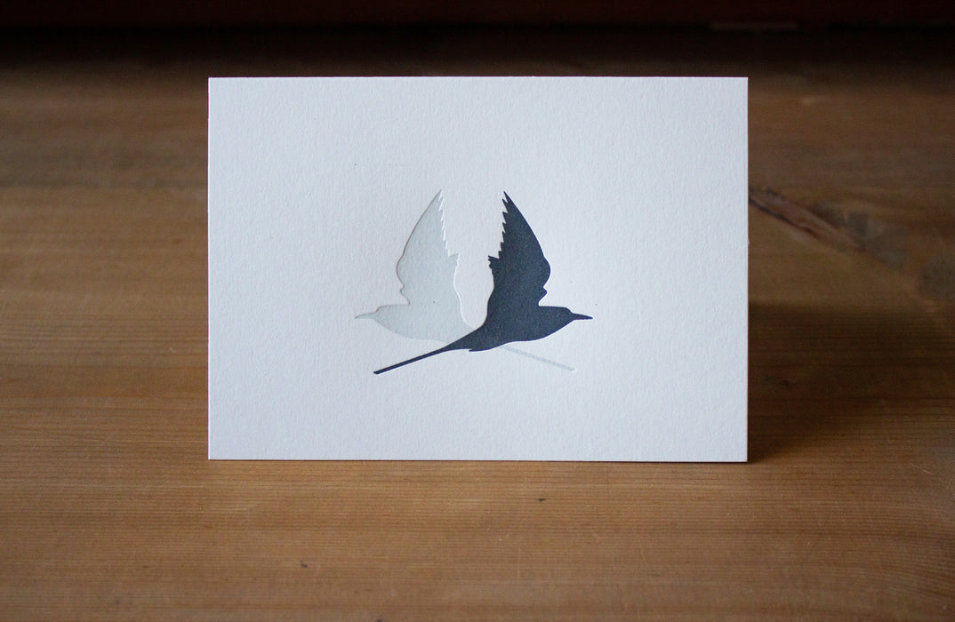 Letterpress Arctic Terns Grey Shadow